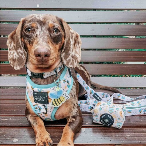 Bee Sassy' Dog Waste Bag Holder 4 » Pets Impress