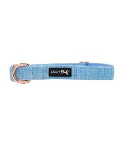 Blumond' Dog Collar 7 » Pets Impress