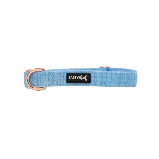 Blumond' Dog Collar 5 » Pets Impress