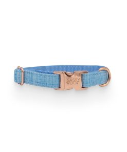 Blumond' Dog Collar 9 » Pets Impress