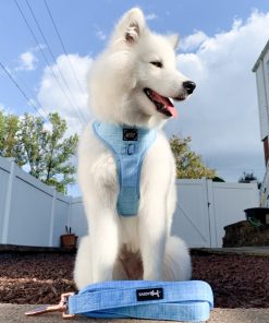 Blumond' Dog Fabric Leash 10 » Pets Impress