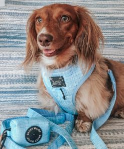 Blumond' Dog Waste Bag Holder 13 » Pets Impress