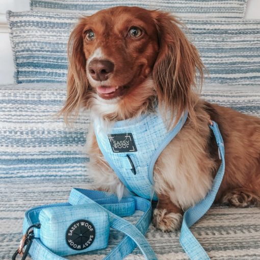 Blumond' Dog Waste Bag Holder 5 » Pets Impress