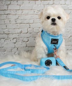 Blumond' Dog Waste Bag Holder 15 » Pets Impress