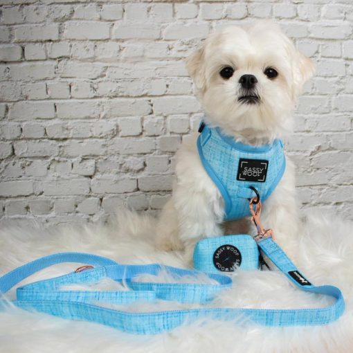 Blumond' Dog Waste Bag Holder 6 » Pets Impress