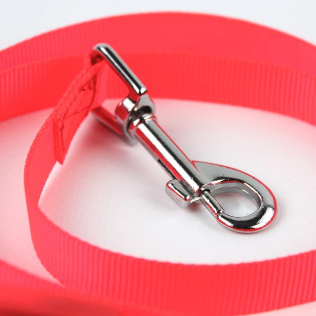 LED Dog Leash 37 » Pets Impress