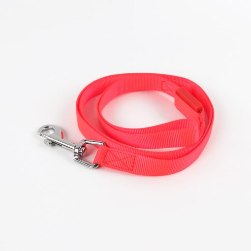 LED Dog Leash 1 » Pets Impress