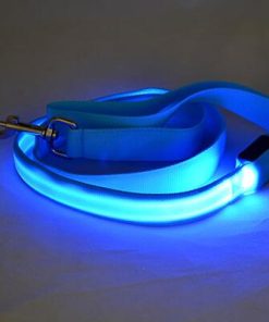 LED Dog Leash 13 » Pets Impress