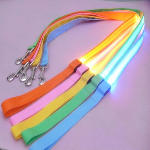 LED Dog Leash 11 » Pets Impress