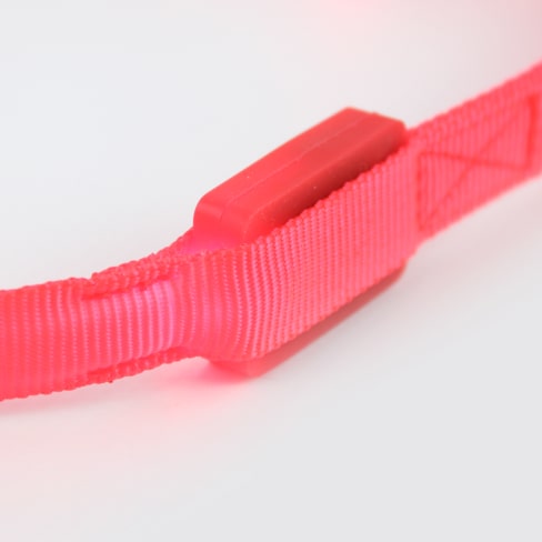 4-min LED Dog Leash 30 » Pets Impress