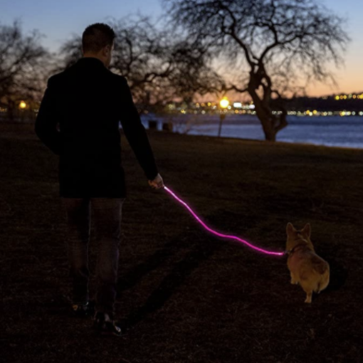 LED Dog Leash 3 » Pets Impress