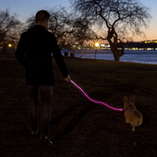 LED Dog Leash - Image 3