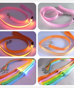 LED Dog Leash 29 » Pets Impress