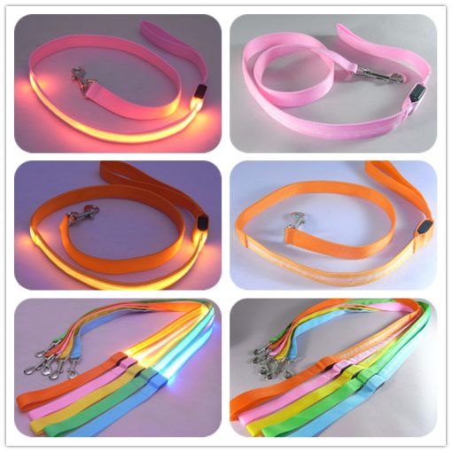 LED Dog Leash 15 » Pets Impress