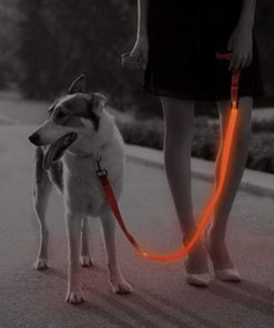 LED Dog Leash 9 » Pets Impress