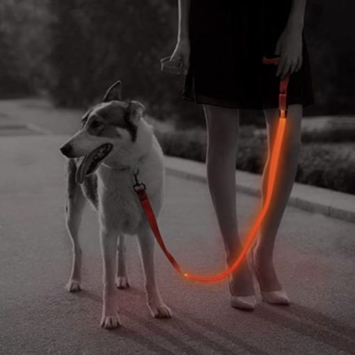 LED Dog Leash - Image 2
