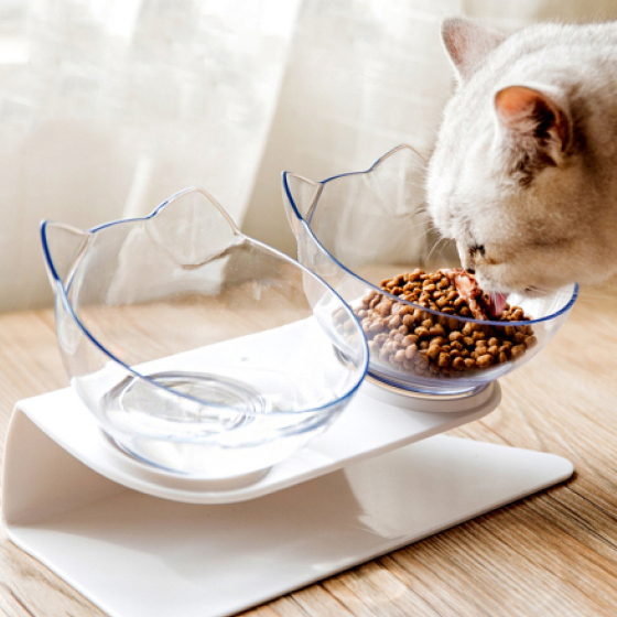Non-Slip Cat Bowls with Raised Stand 29 » Pets Impress