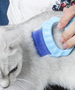 Pet Massage Shell Brush 17 » Pets Impress