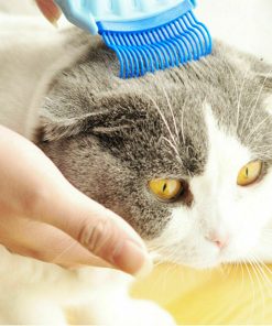 Pet Massage Shell Brush 9 » Pets Impress