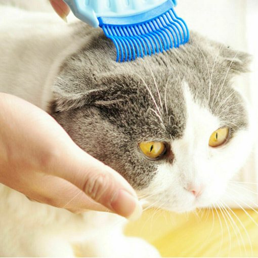 Pet Massage Shell Brush 5 » Pets Impress