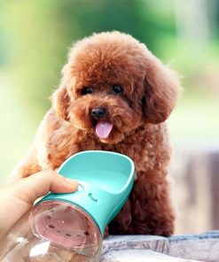 New Portable Pet Water Bottle 16 » Pets Impress
