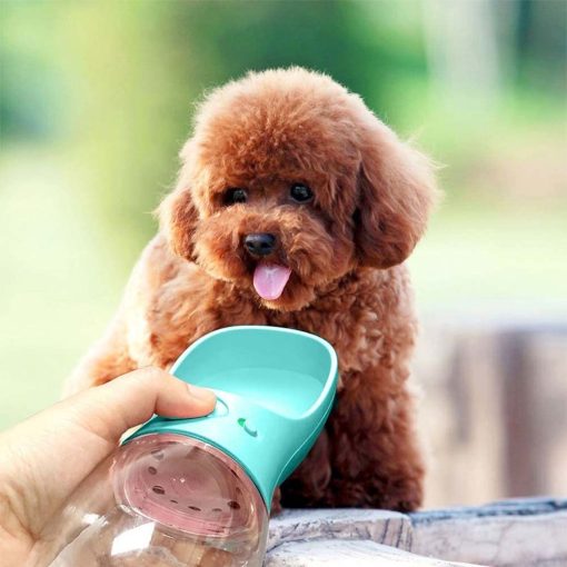 New Portable Pet Water Bottle 6 » Pets Impress