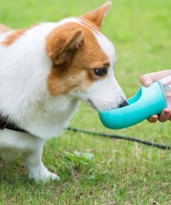 New Portable Pet Water Bottle 18 » Pets Impress