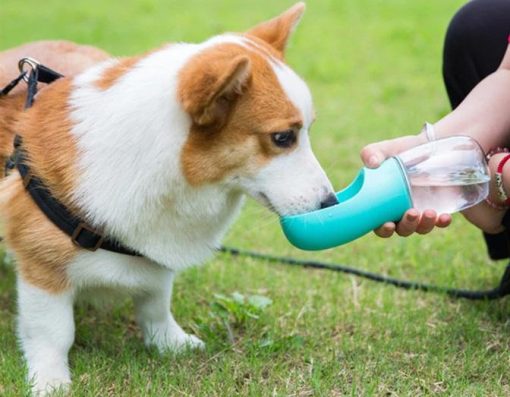 New Portable Pet Water Bottle 13 » Pets Impress