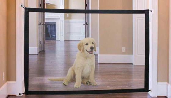 send_imgs 1 Portable Safety Net 18 » Pets Impress