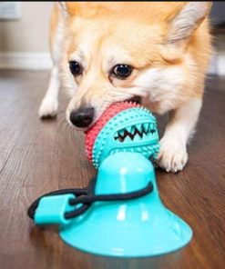 Tug-of-Floor Dog Toy 18 » Pets Impress