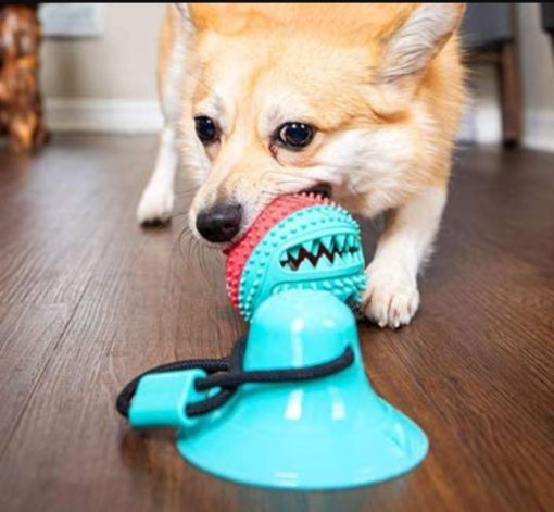 Tug-of-Floor Dog Toy 7 » Pets Impress