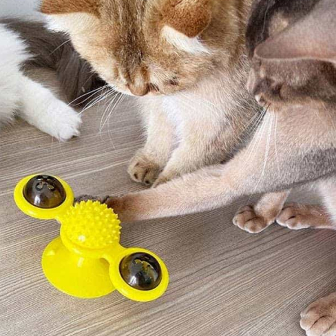 Windmill Cat Toy 38 » Pets Impress