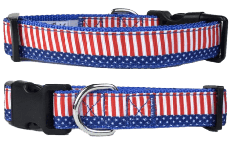 4th of July Star & Stripes Dog Collar 13 » Pets Impress
