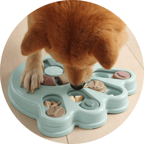 Dog Puzzle Toy 15 » Pets Impress