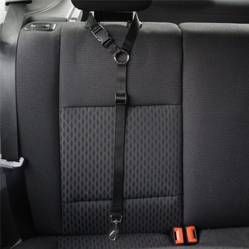 Dog Car Seatbelt 2 » Pets Impress