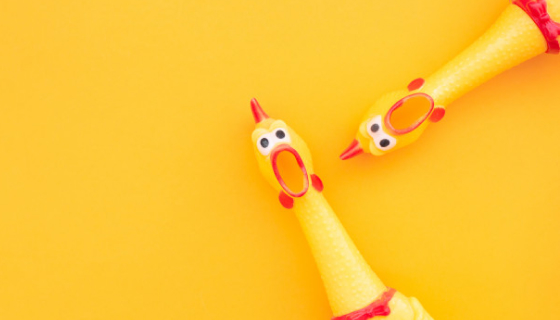 1 Hot Sell Screaming Chicken 21 » Pets Impress