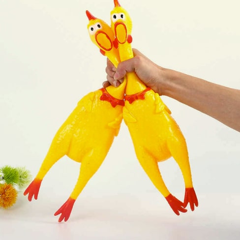Hot Sell Screaming Chicken 24 » Pets Impress