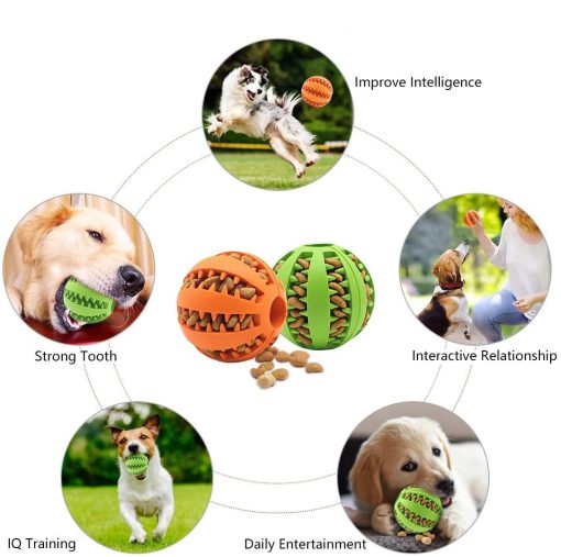 Dog Toy Feeder Ball Medium (2 inch) 5 » Pets Impress