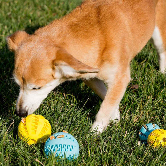 Dog Toy Feeder Ball Large (2.8 inch) 22 » Pets Impress