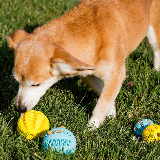 Dog Toy Feeder Ball Large (2.8 inch) 28 » Pets Impress