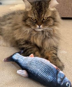 Dancing Fish Catnip Kicker Toy 24 » Pets Impress