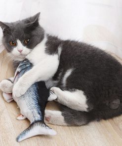 Dancing Fish Catnip Kicker Toy 22 » Pets Impress