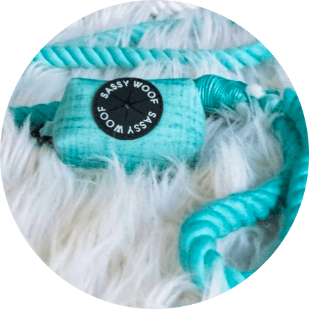 Maspoihugyk Group Wag Your Teal' Dog Waste Bag Holder 13 » Pets Impress