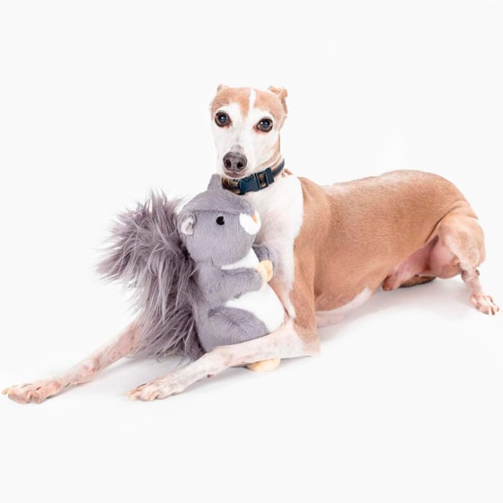 Plush Squirrel Dog Toy 13 » Pets Impress