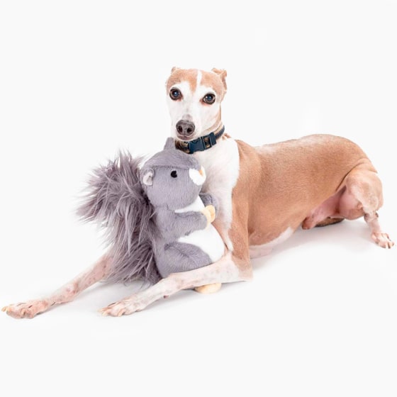 Mask Gro;lkjuhgfup-min Plush Squirrel Dog Toy 13 » Pets Impress