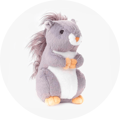 Plush Squirrel Dog Toy 14 » Pets Impress