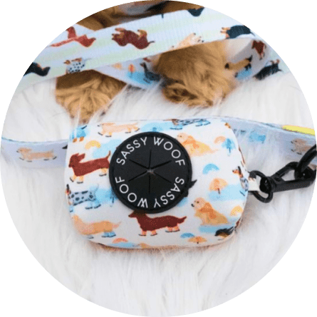 Mask jmnGroup-min Rainy Dachshund' Dog Waste Bag Holder 16 » Pets Impress