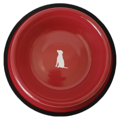 Screчсмenсмпshot_6 1-min Red Non Skid Dog Bowl 16 » Pets Impress