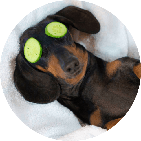 Mask Groюиромпбр аup-min Dog shampoo