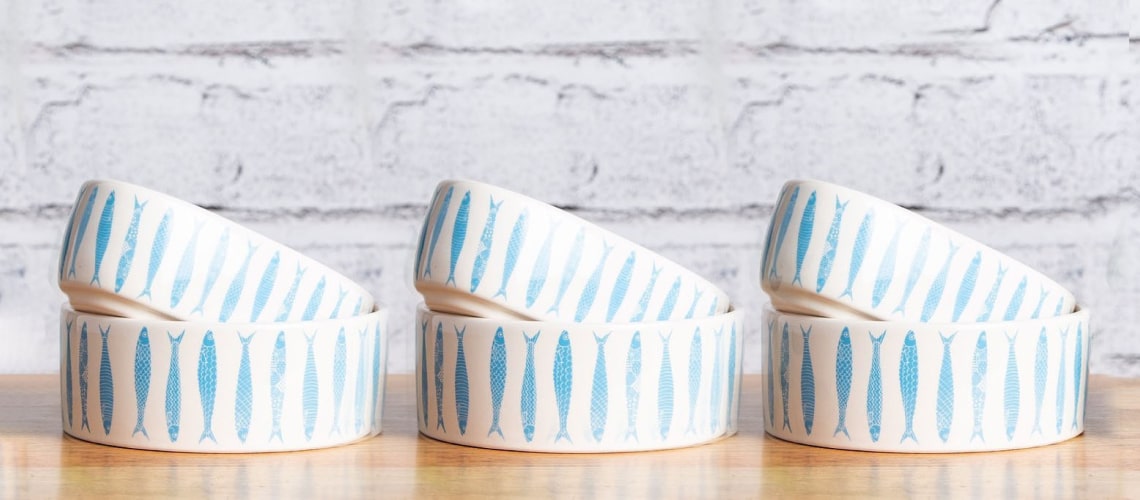 6bowls-min Faro Cat Bowl 9 » Pets Impress
